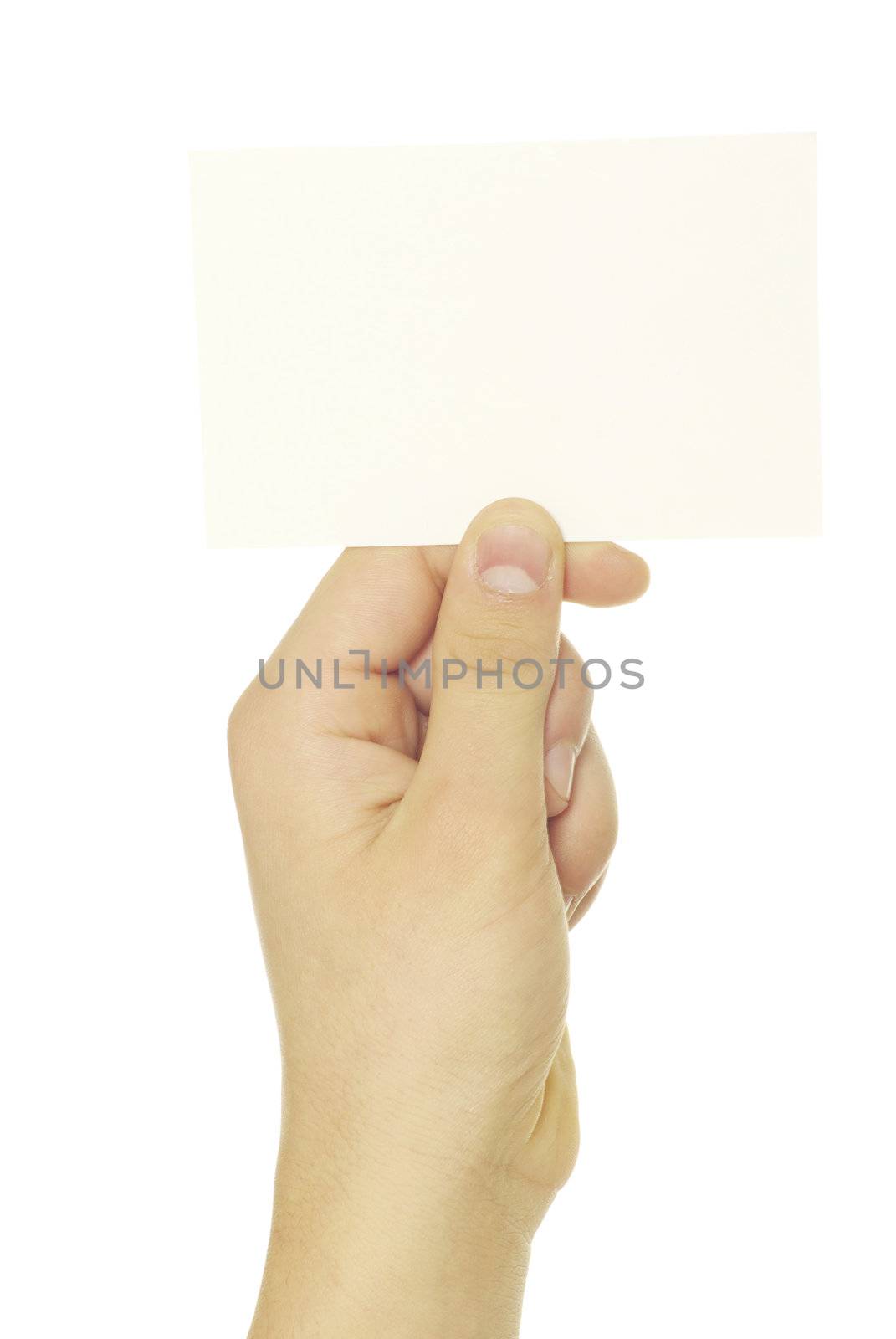 card blank in a hand isolated on white