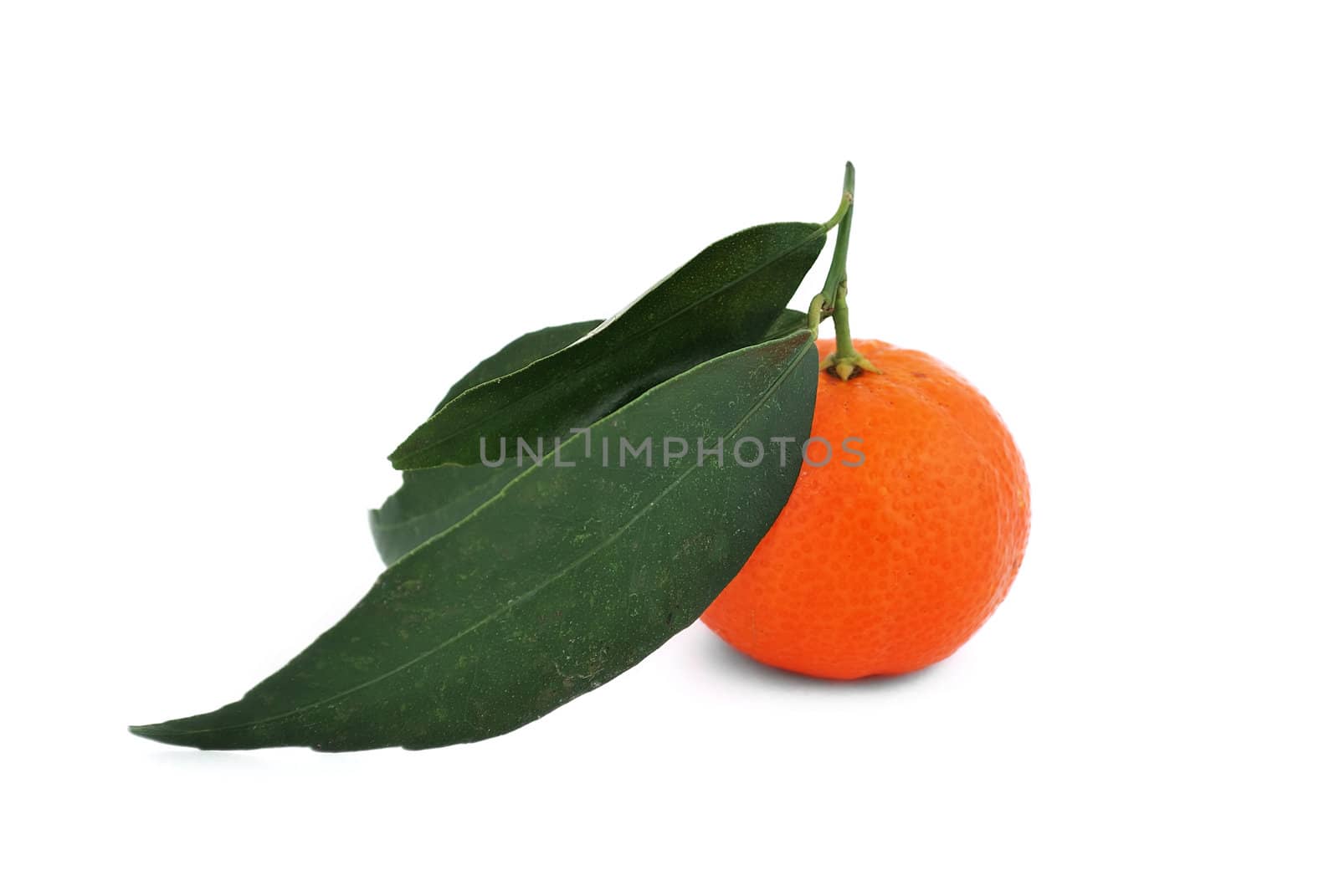 tangerin with leaves on white background