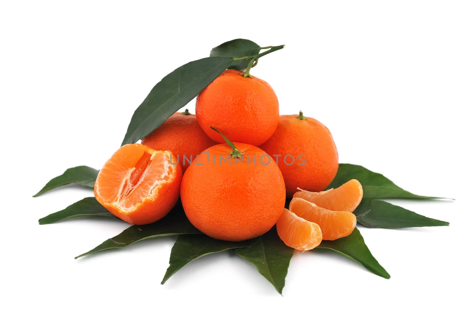 tangerines by vetkit