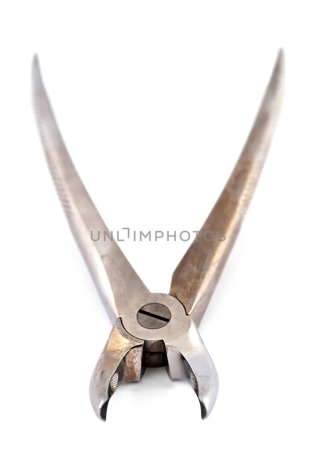 old dental pliers on a white background