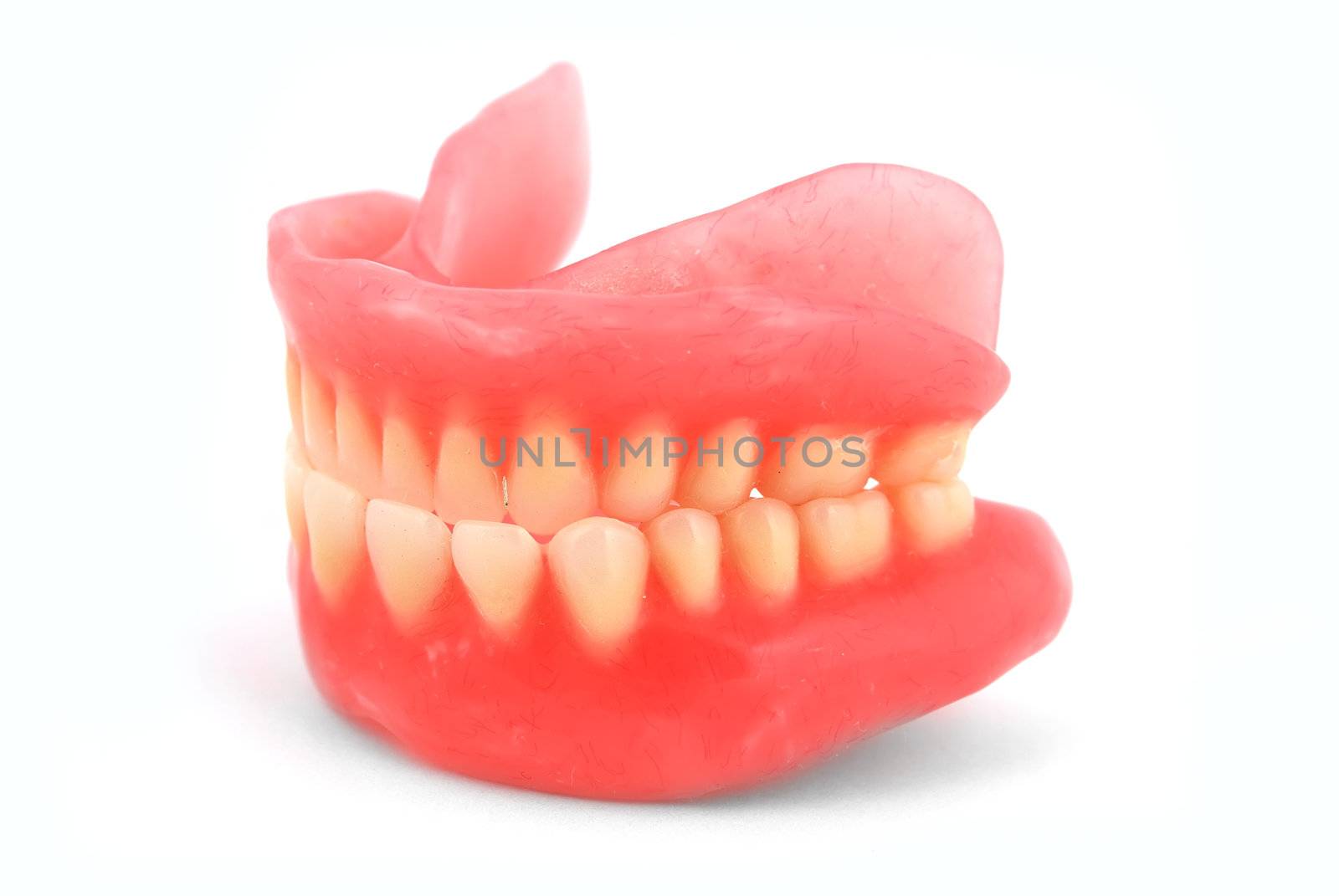 dentures by vetkit