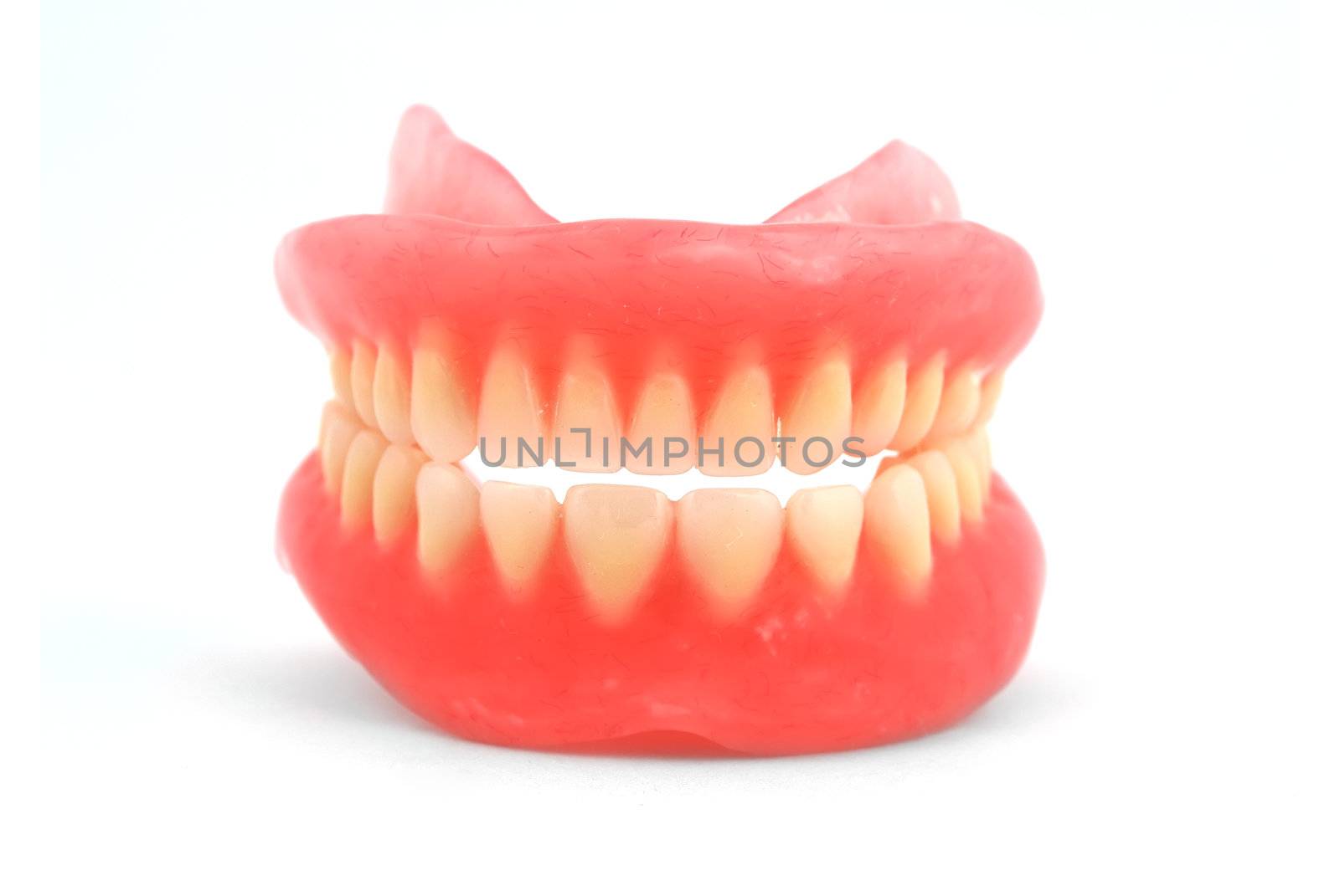 Plastic dentures on a white background