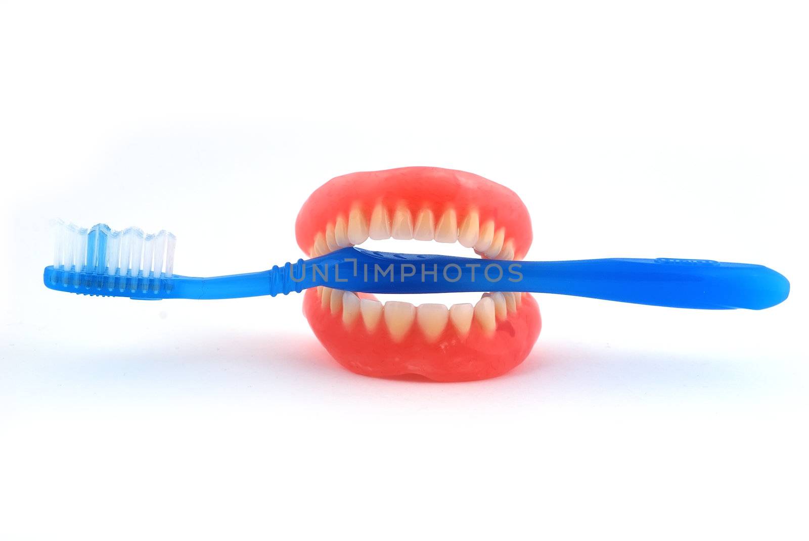 dentures and toothbrush on white background