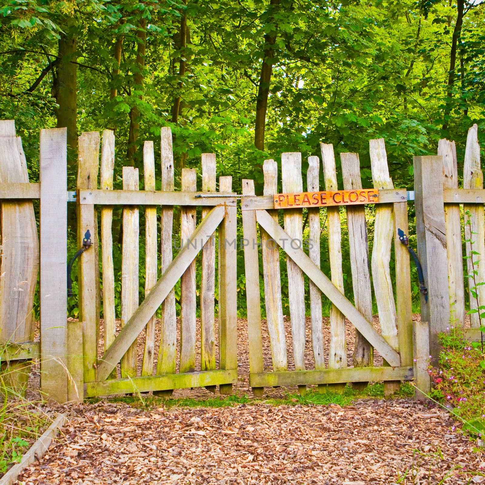 A rickety wooden gate in a rural forest