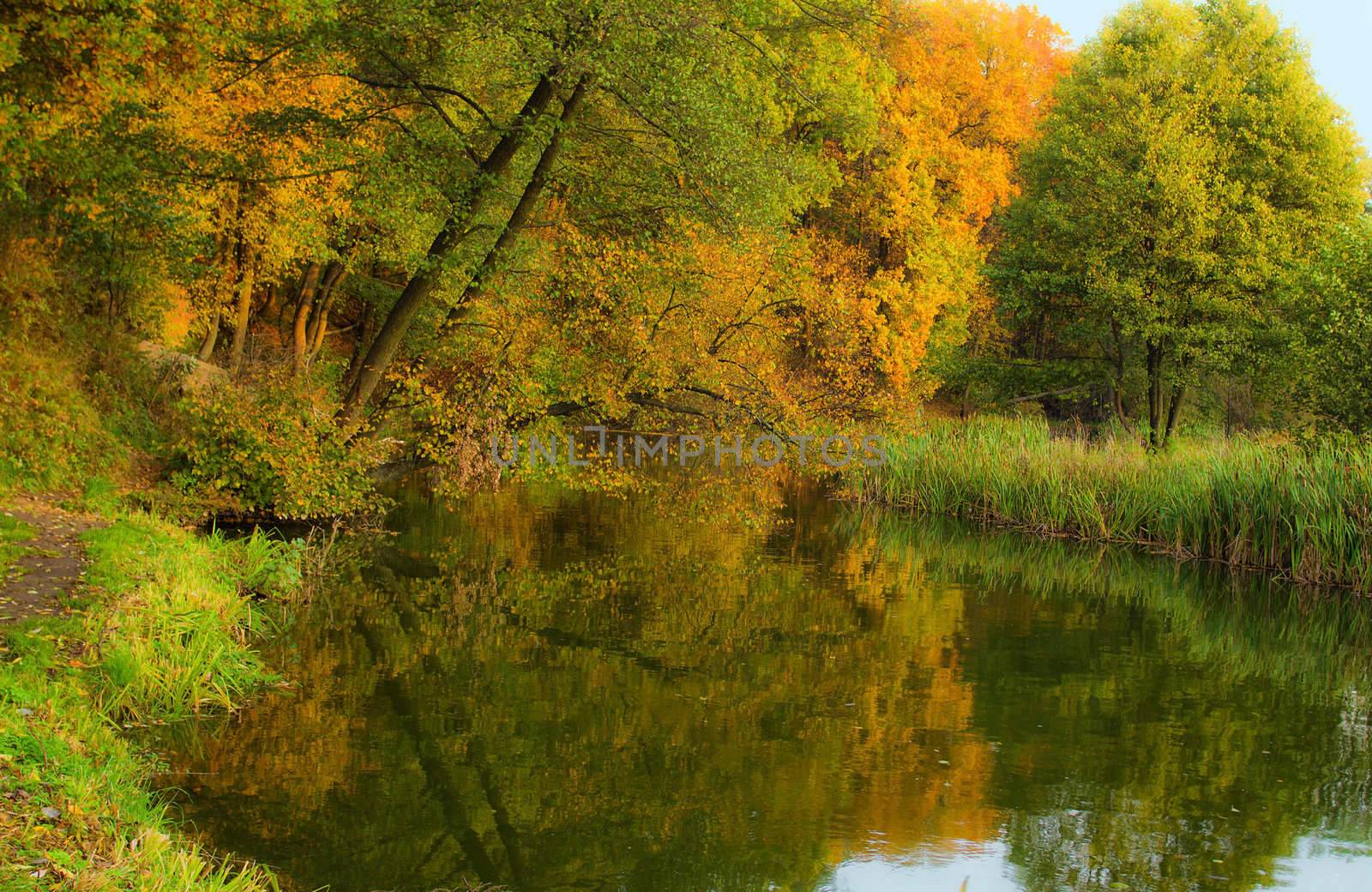autumn landscape with reflection in water
