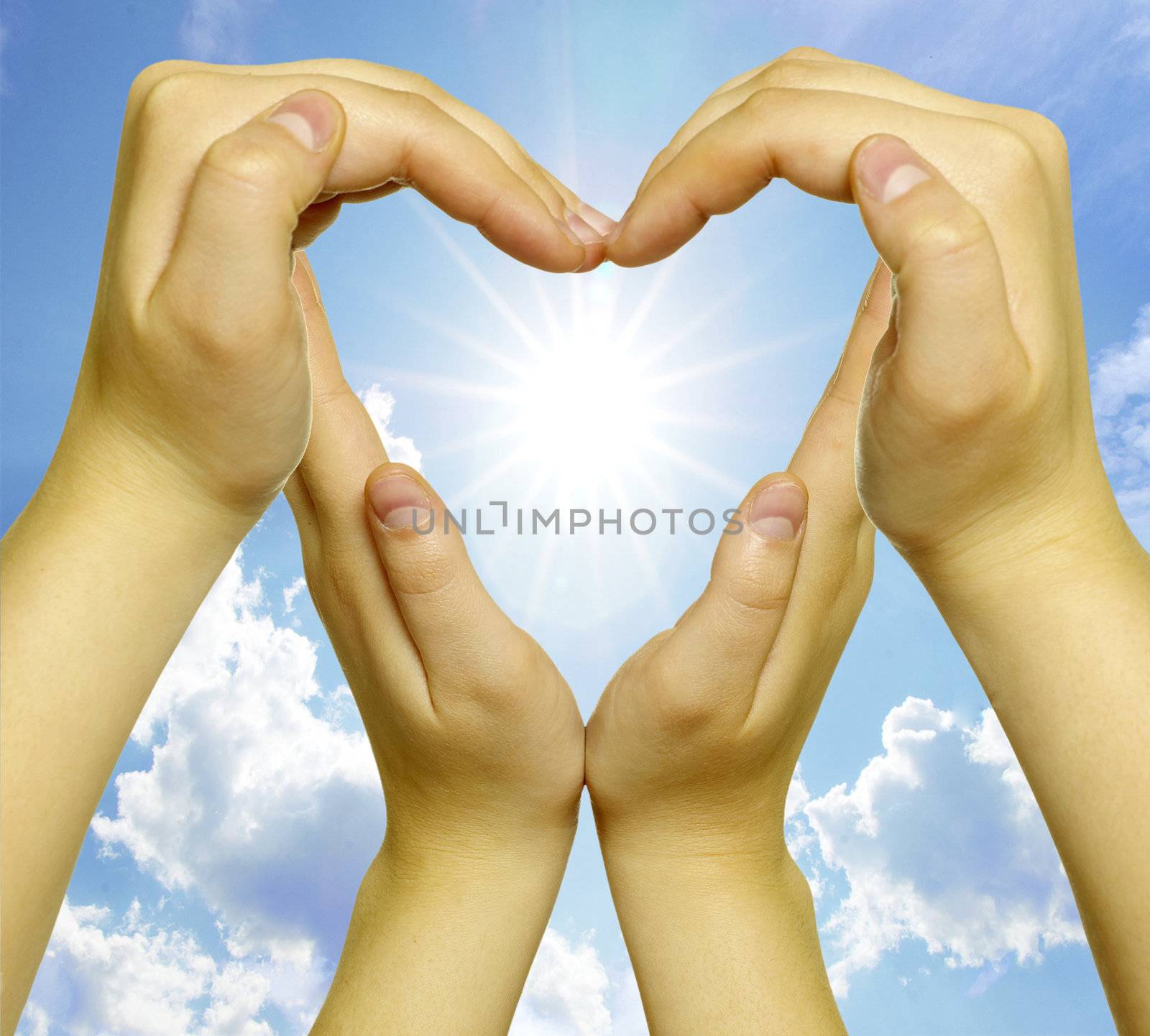  woman’s hands made in the form of heart