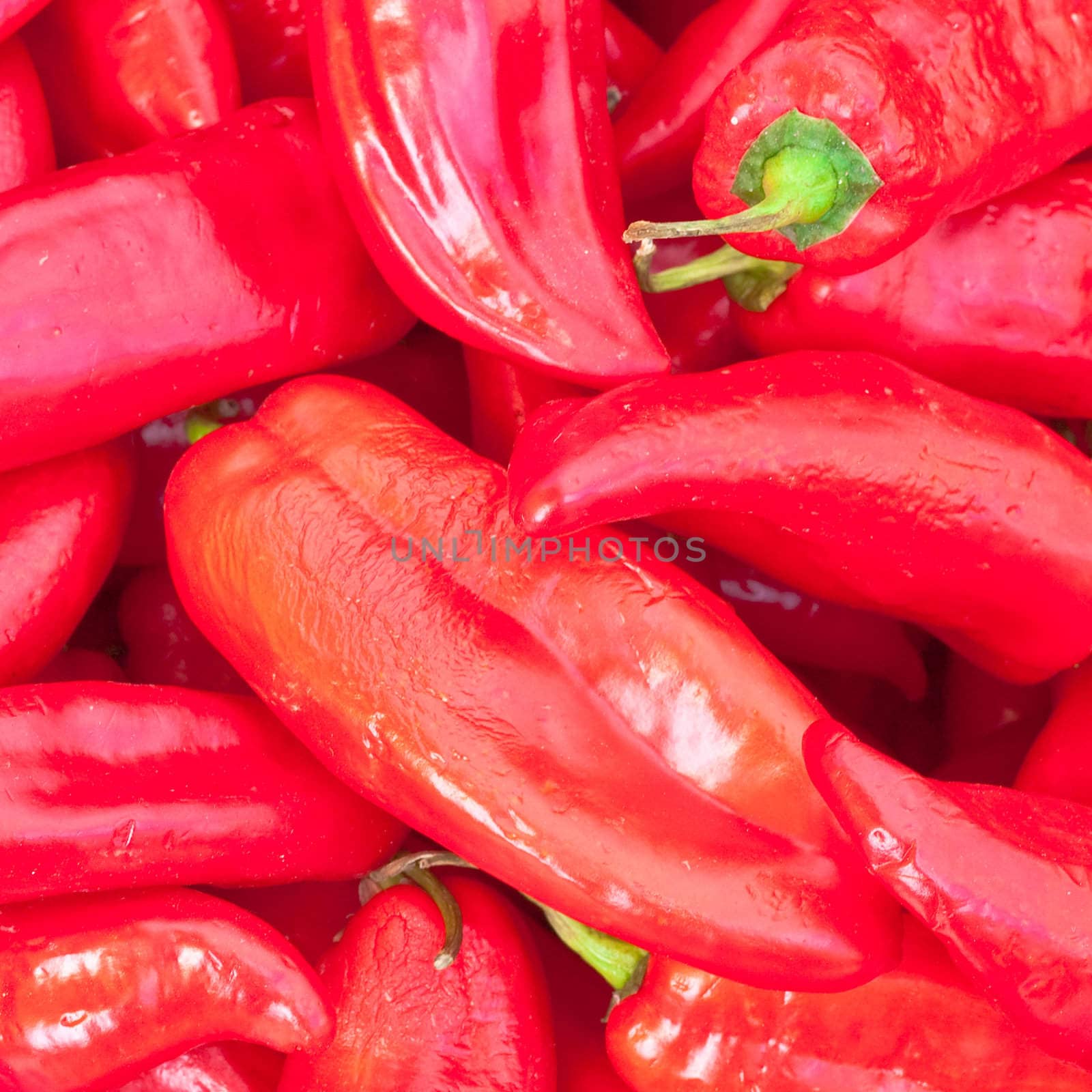 Background image composed of fresh jalapeno peppers