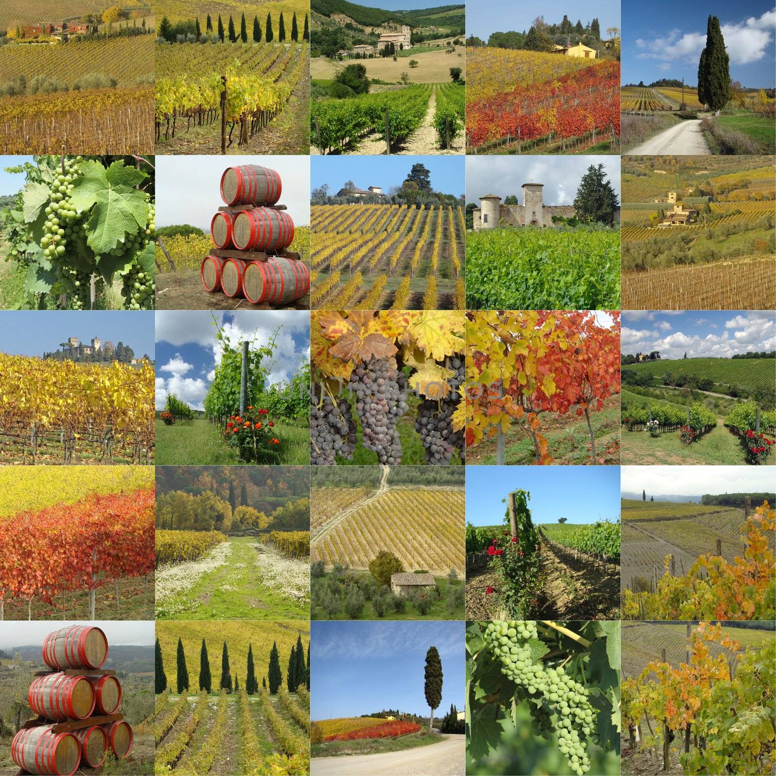 collage with tuscan vineyards by mkistryn