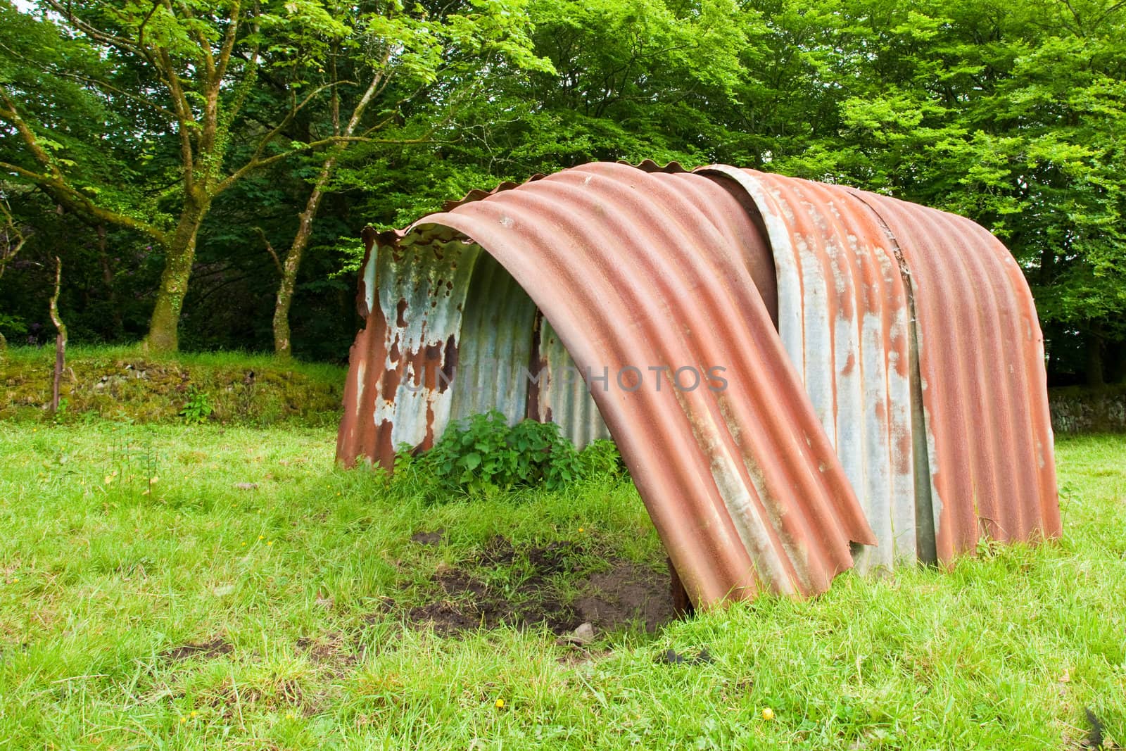 An old rusty pig farm hut