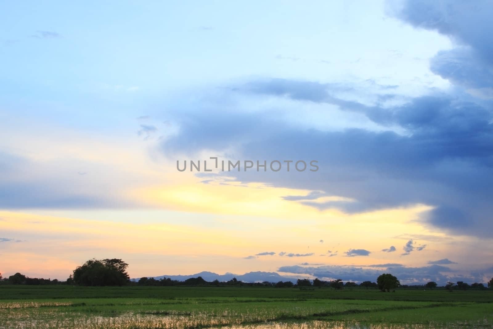sunset at rice field at the countryside in the Philippines