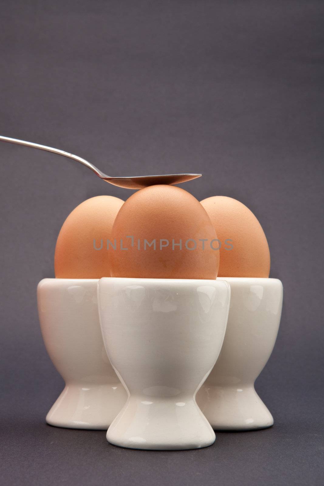 eggs in egg cups