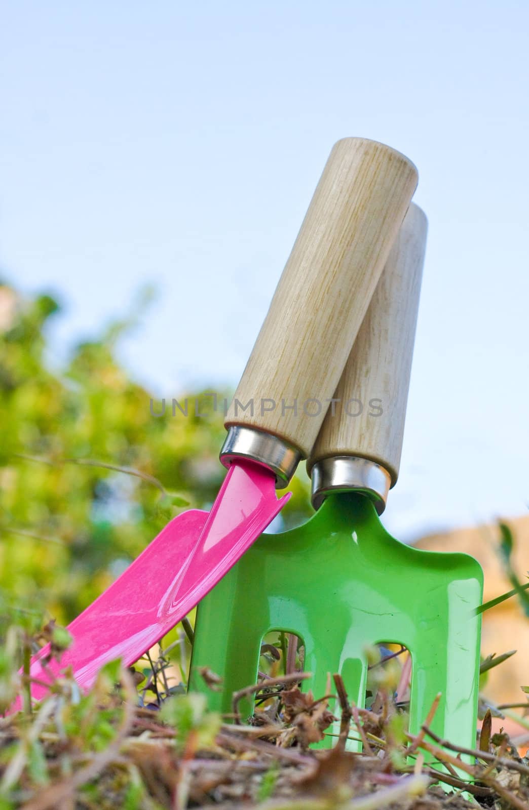 Children's spade and trowel in a garden by trgowanlock