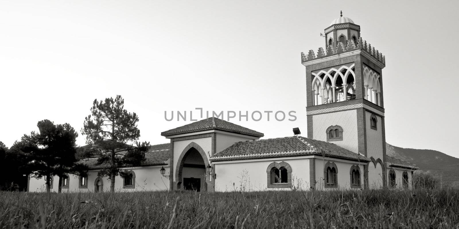 Andalucian mosque in monochrome