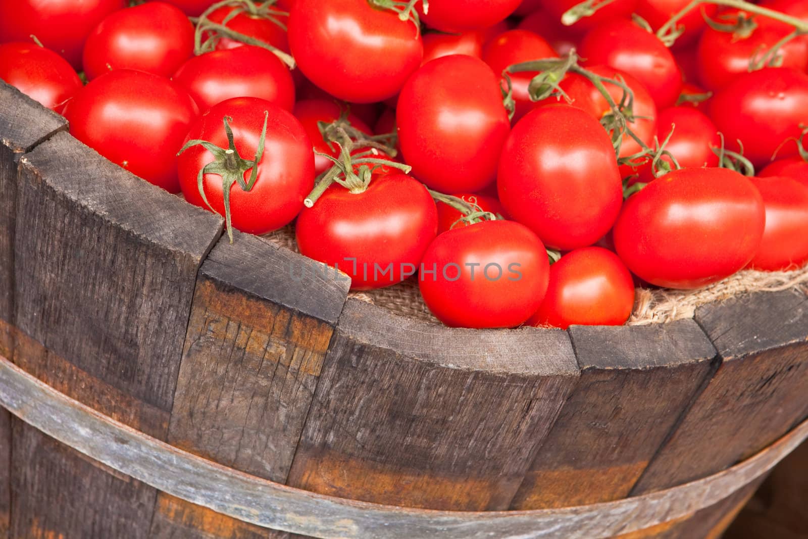 tomatoes