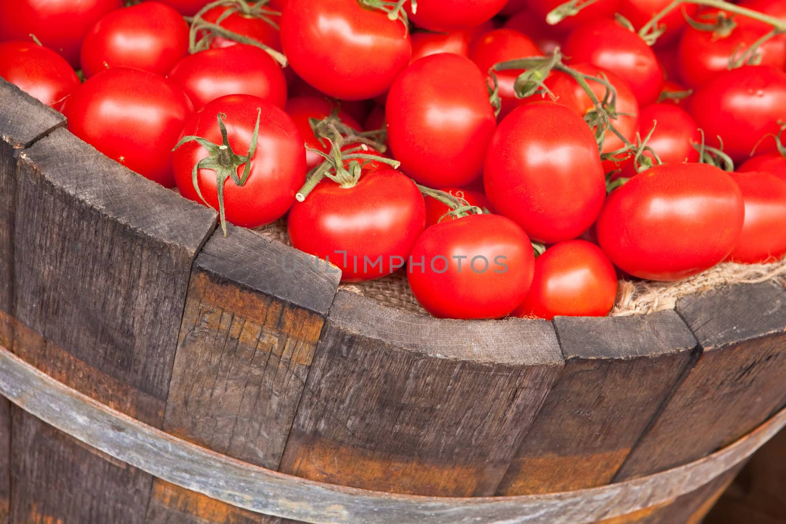 tomatoes