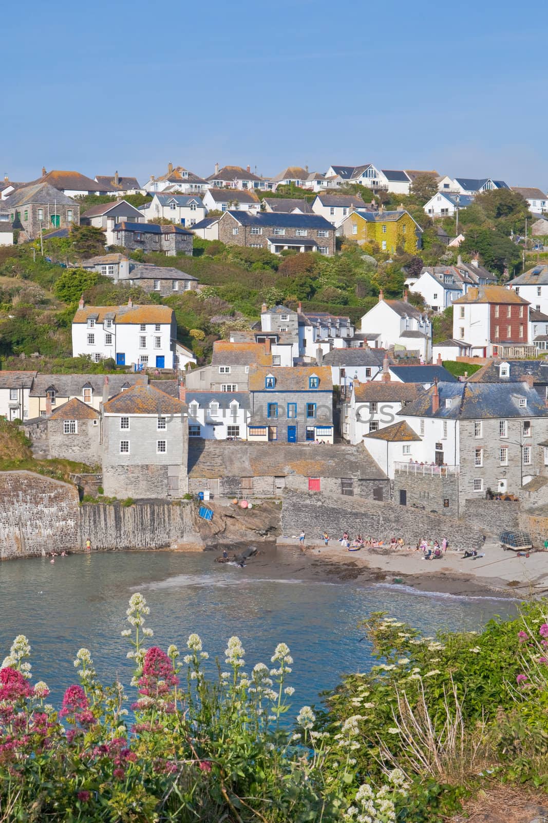 View of Port Isaac bay in Cornwall by trgowanlock