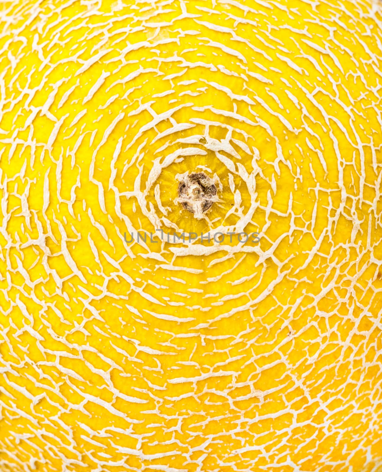 Detailed texture of melon skin as a vibrant background