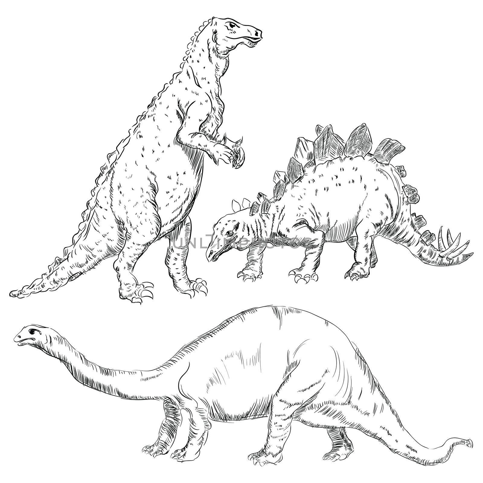 Dinosaurs set by VIPDesignUSA