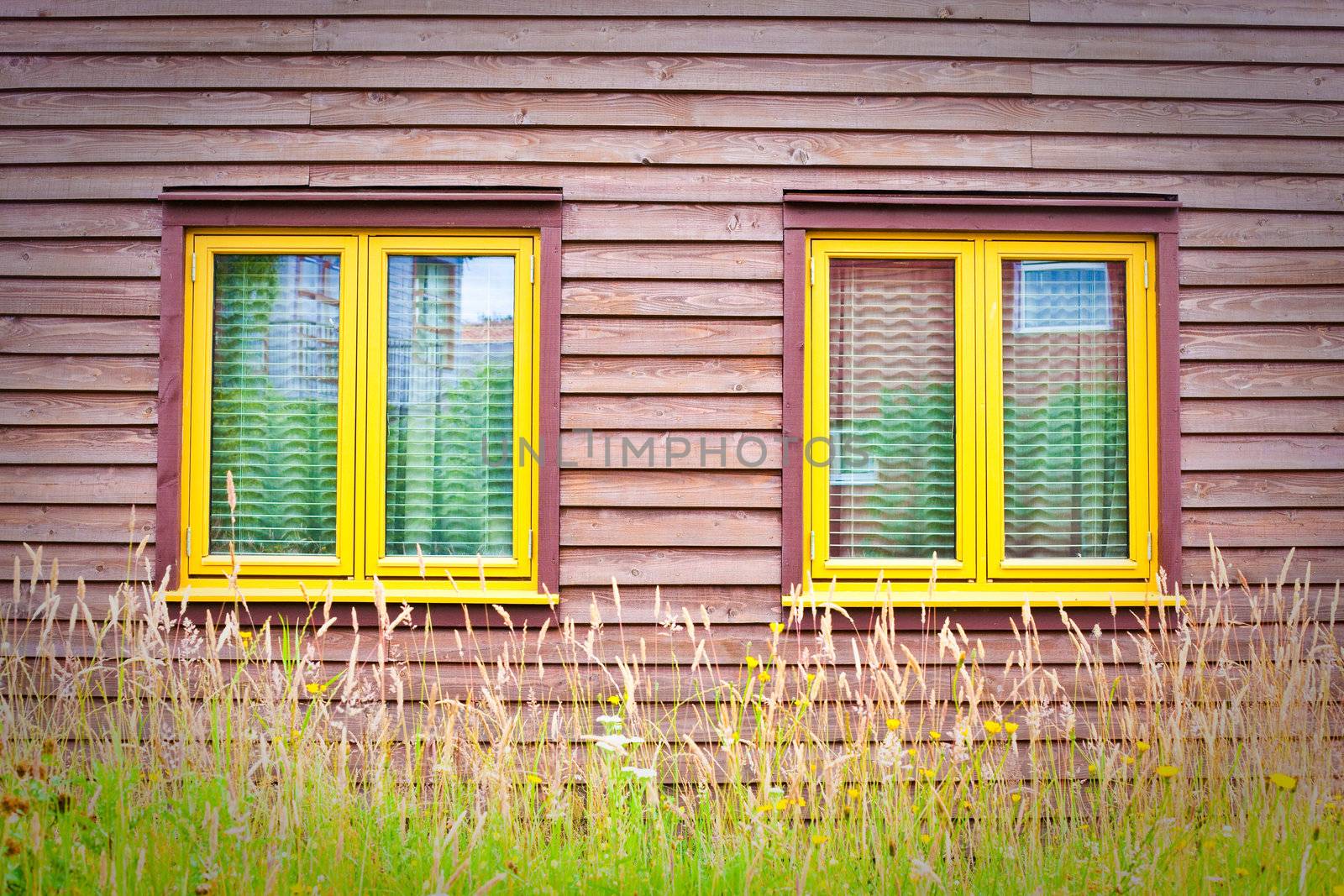 Georgeous yellow window frames on a wooden eco house