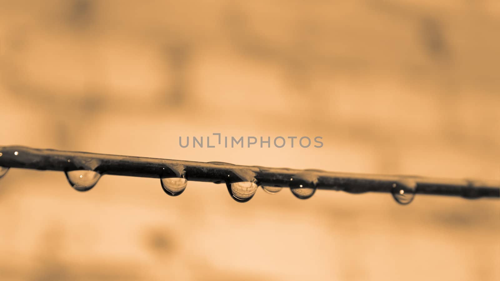 Metal wire with hanging drops of water on strongly vague brick wall background. Sepia, close-up