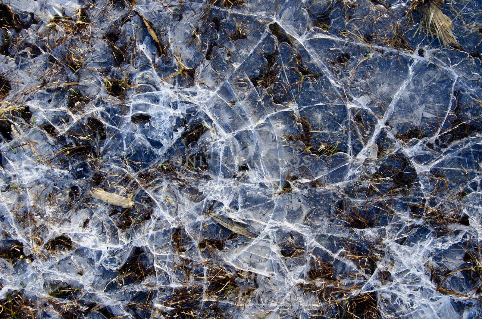 Cracked water ice on frozen bog. Closeup natural winter background backdrop.