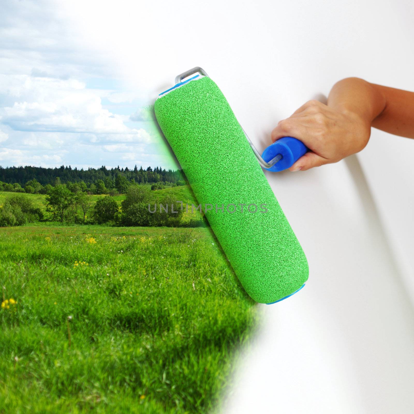 woman paints the wall brush