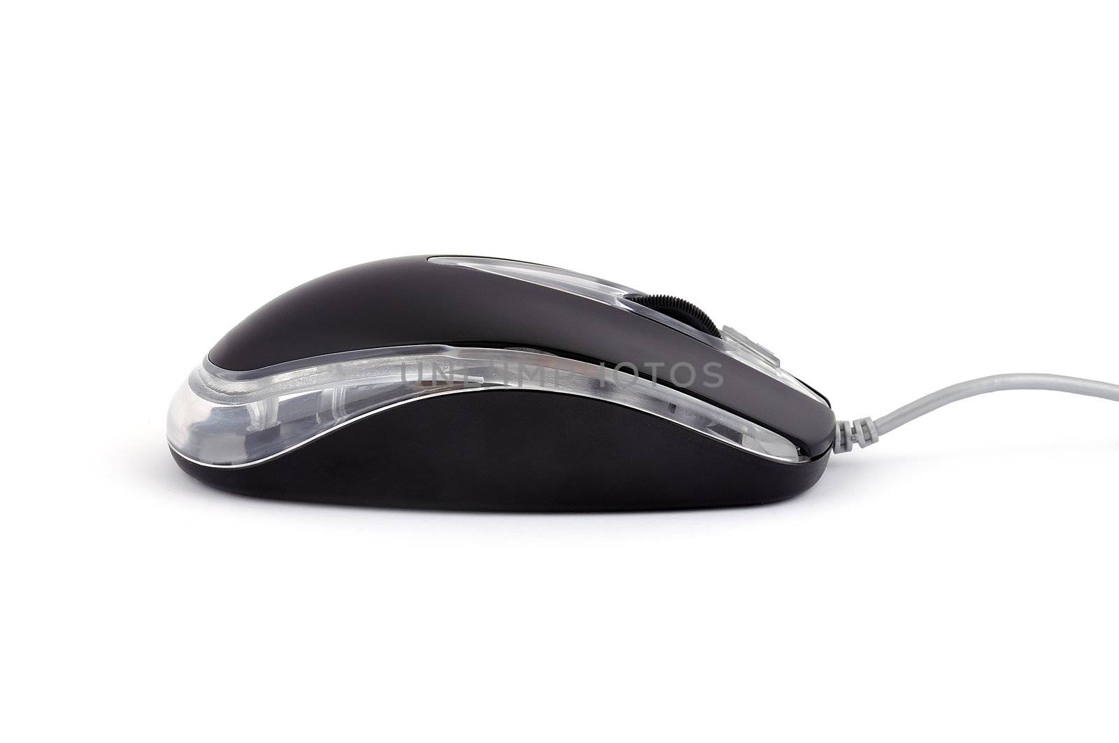 computer mouse on white background