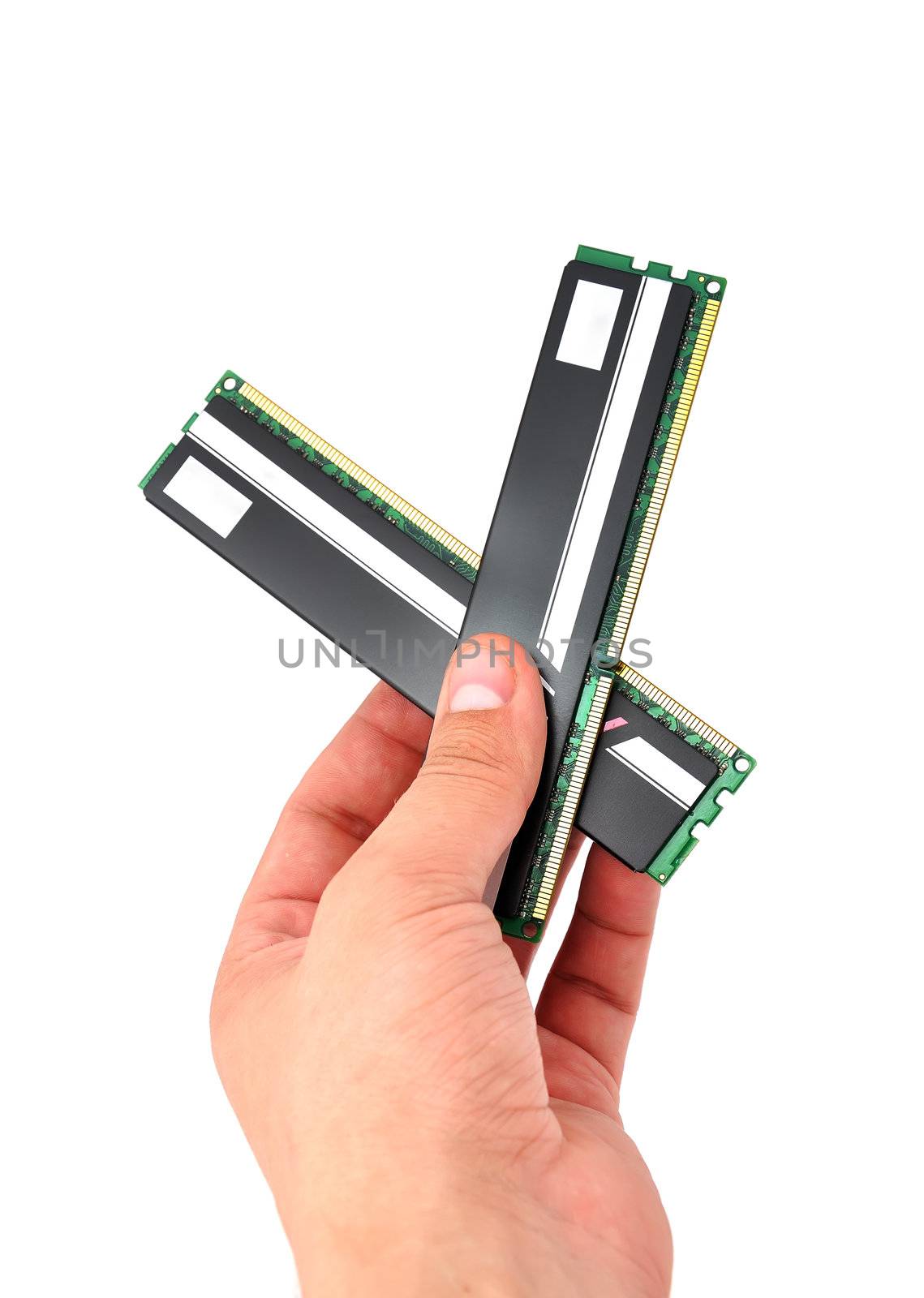 two RAM in hand  on white background