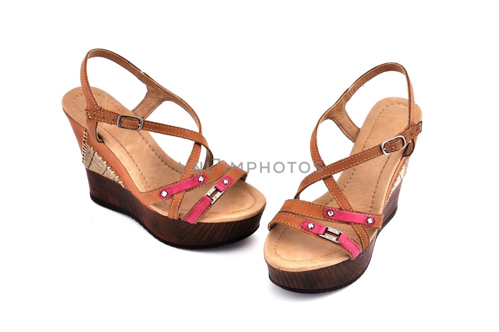 brown ladies shoes on a white background