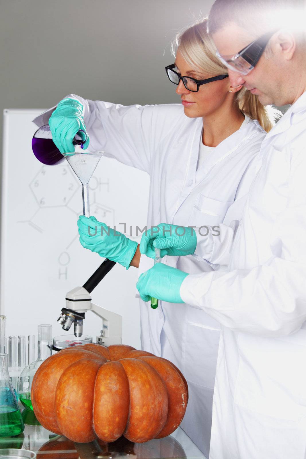 Scientist conducting genetic experiment with pumpkin