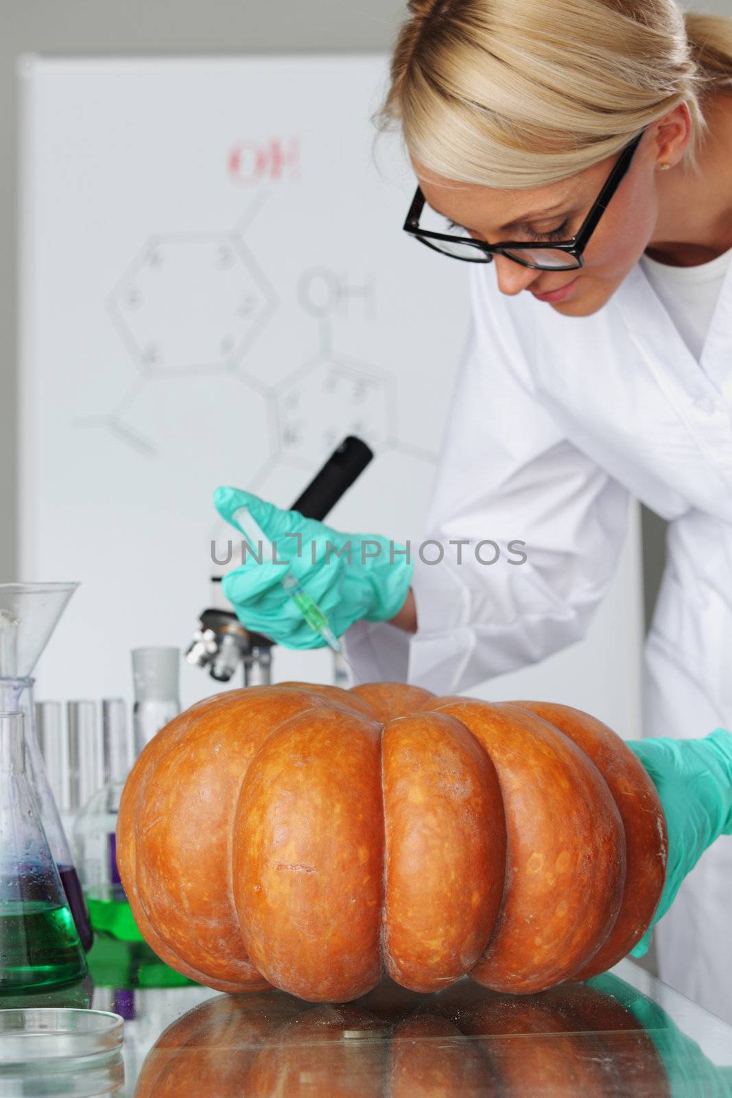 Scientist conducting genetic experiment with pumpkin