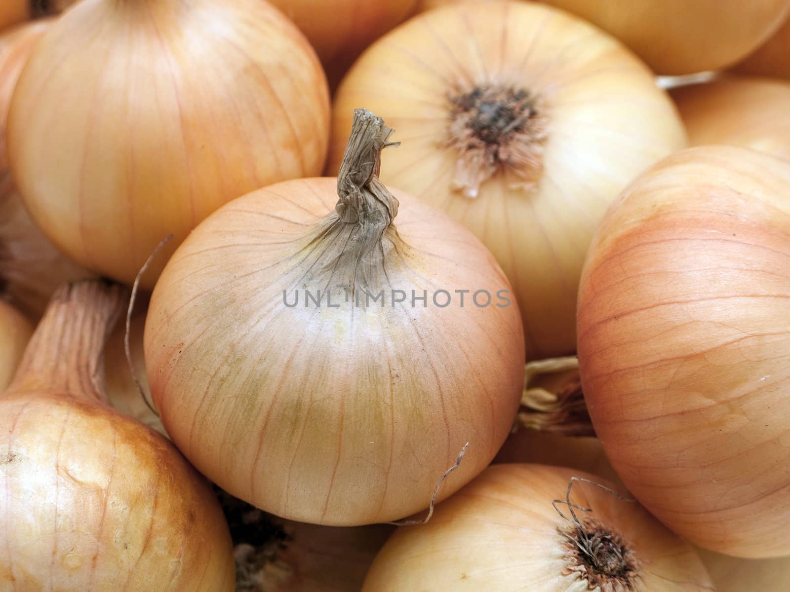 Healthy onion vegetable food for freshness eating