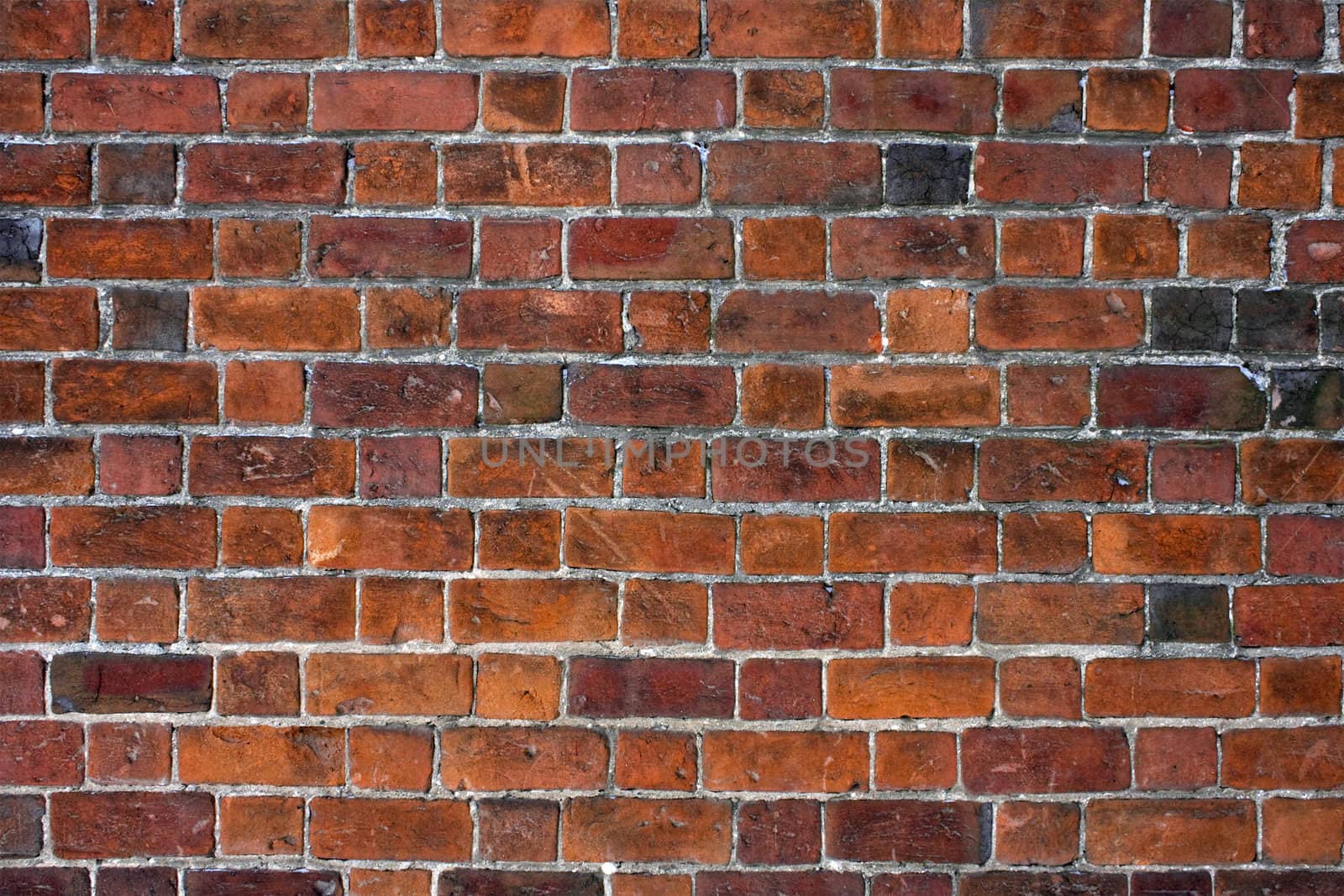 Brick wall by ia_64