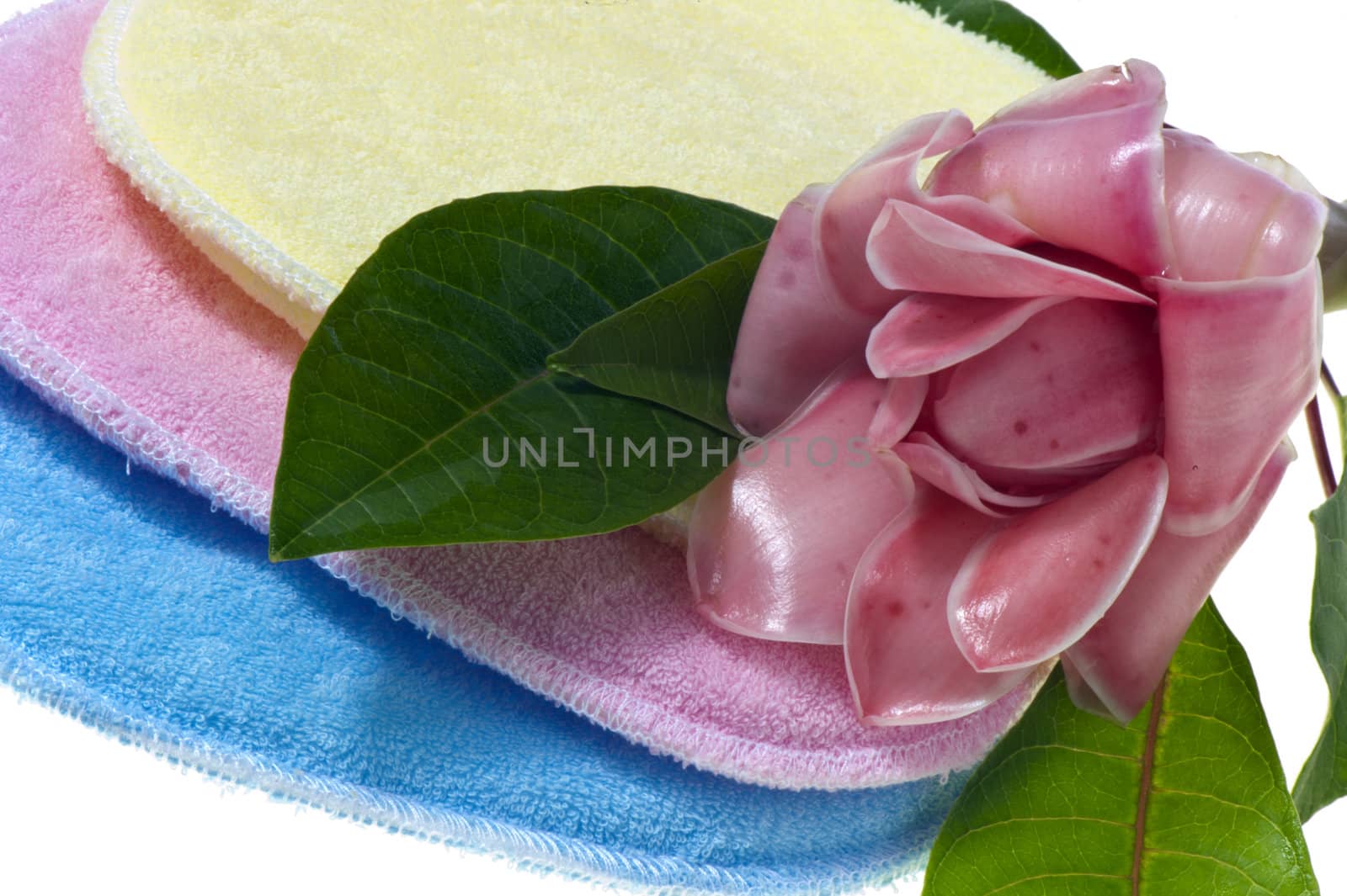 bath sponges in three different colors on white background