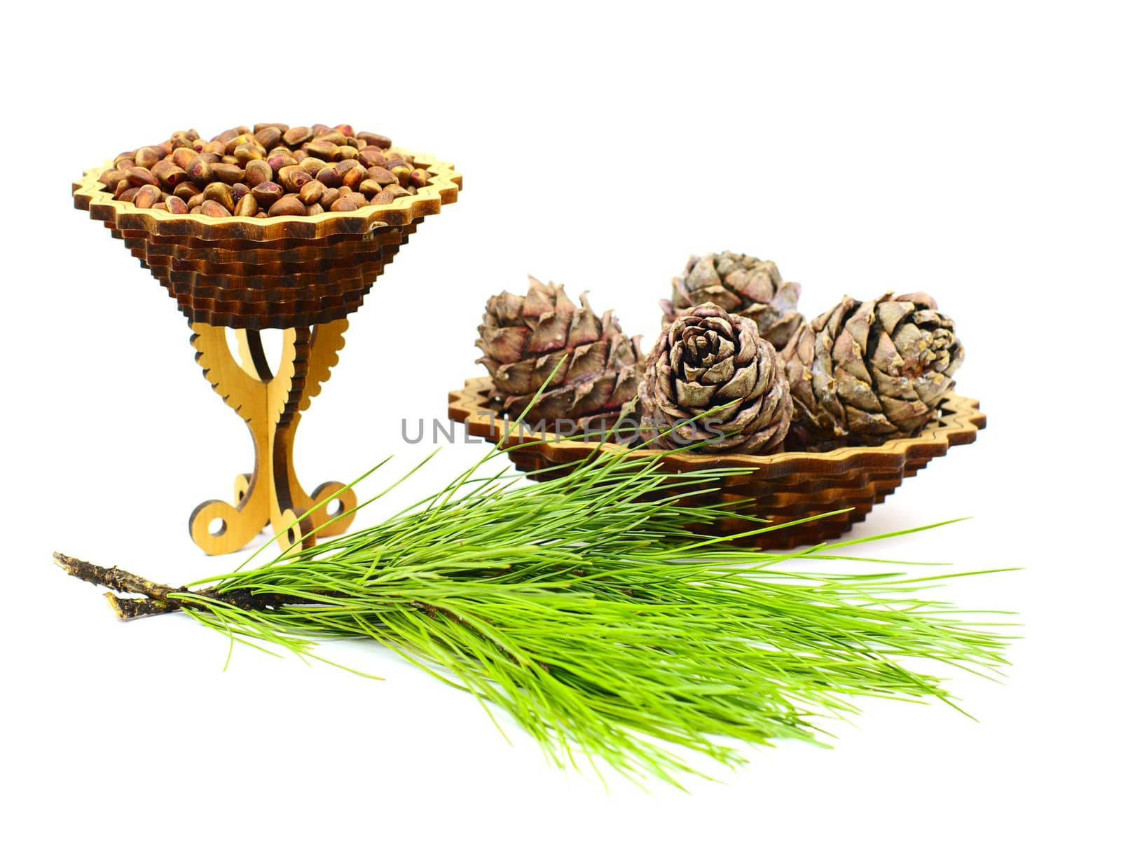 walnuts in vase,cedar cones and branch isolated 