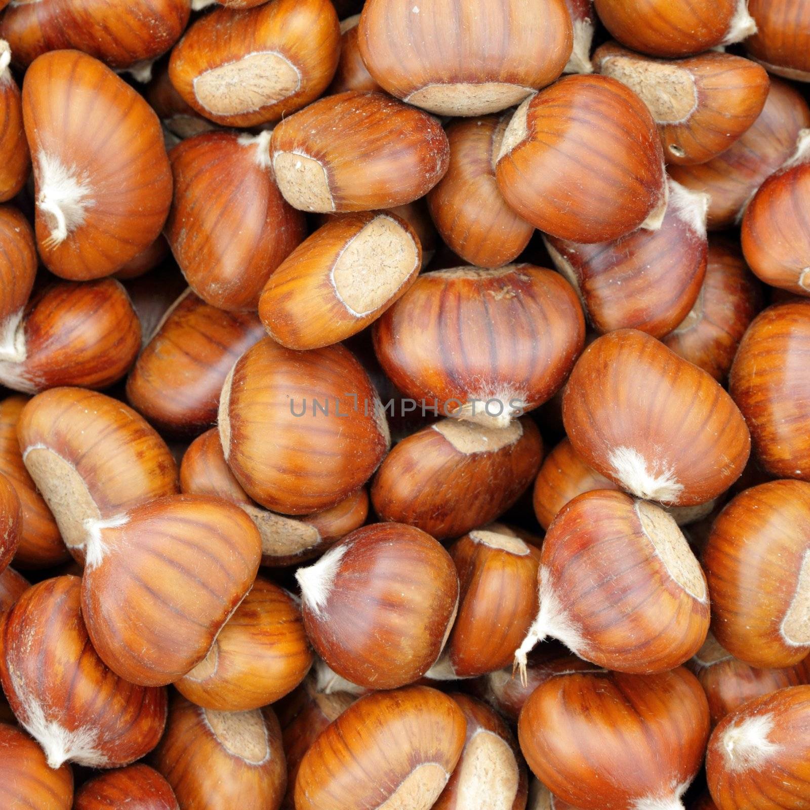 Sweet chestnuts - marron - as background