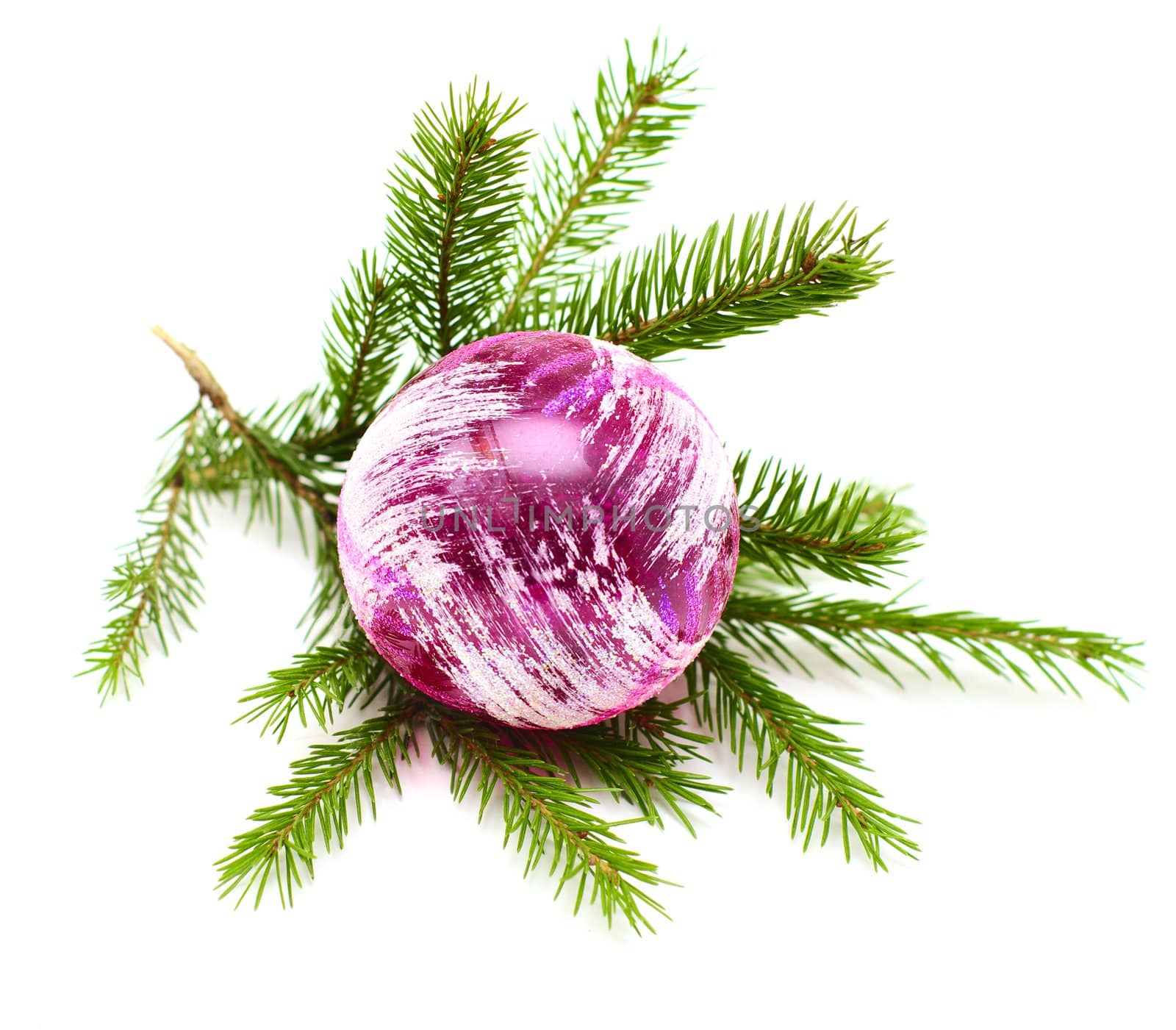 pink decorative ball on fir branch  on white