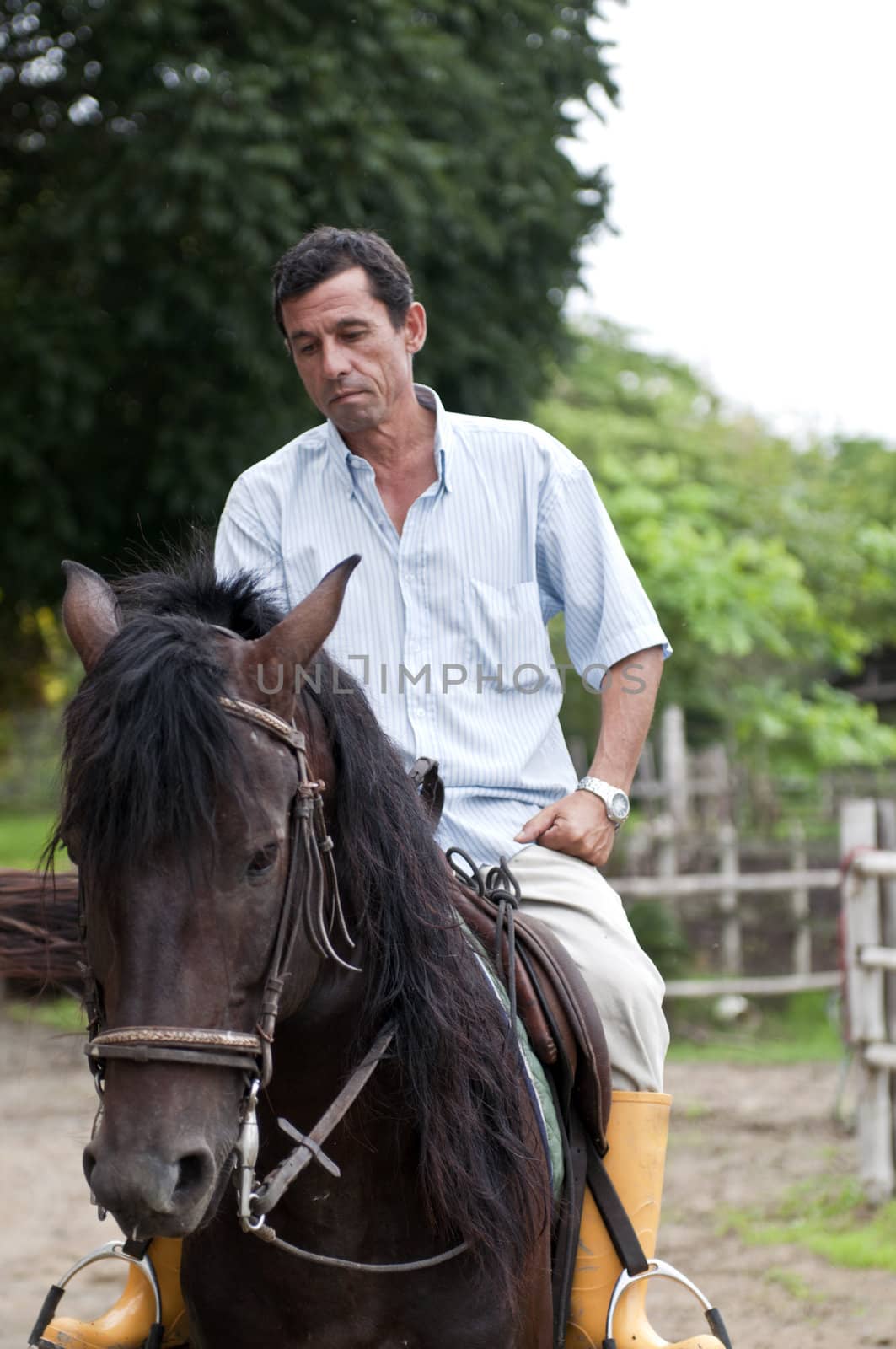 Horses and riders on a farm in Ecuador