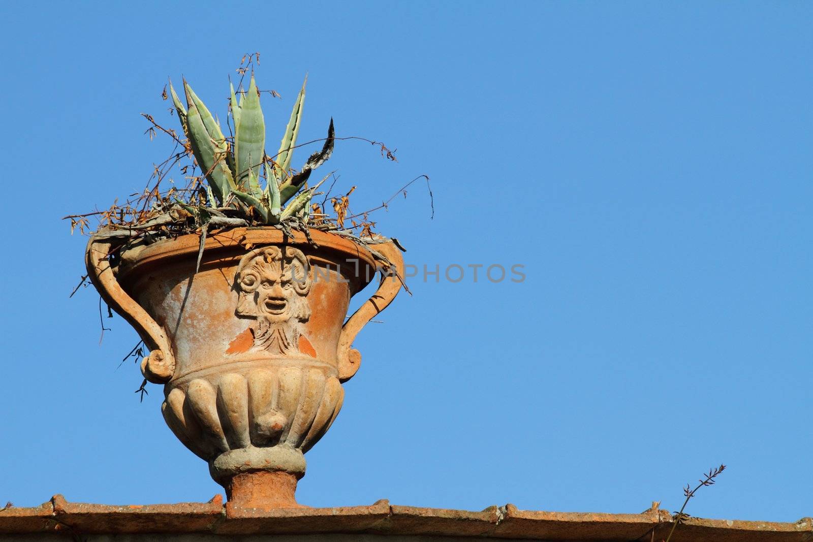 classic decorative flowerpot in terracotta,Historic Gardens of Boboli,Florence ,Italy