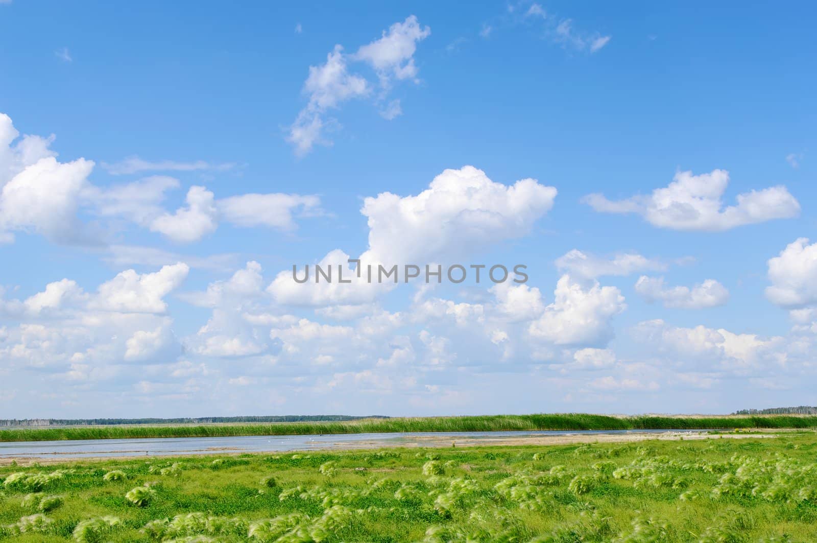  lake,grass and blue cloud sky 