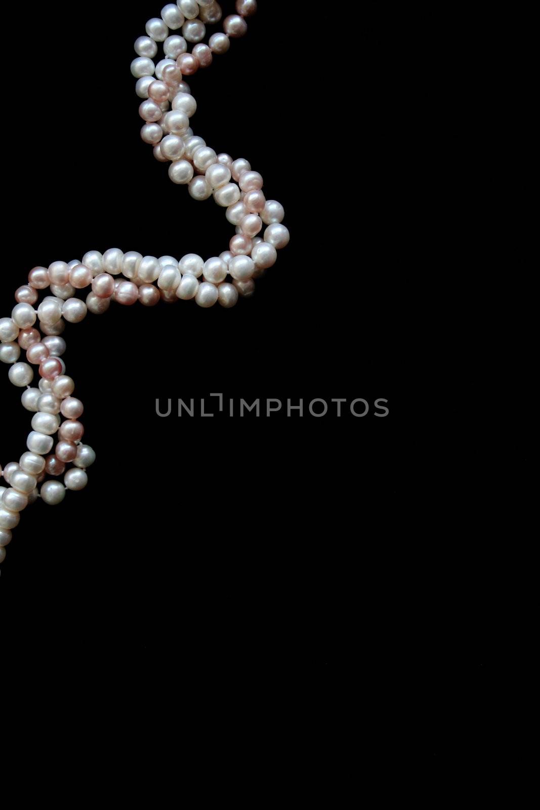 White and pink pearls on a black velvet background 
