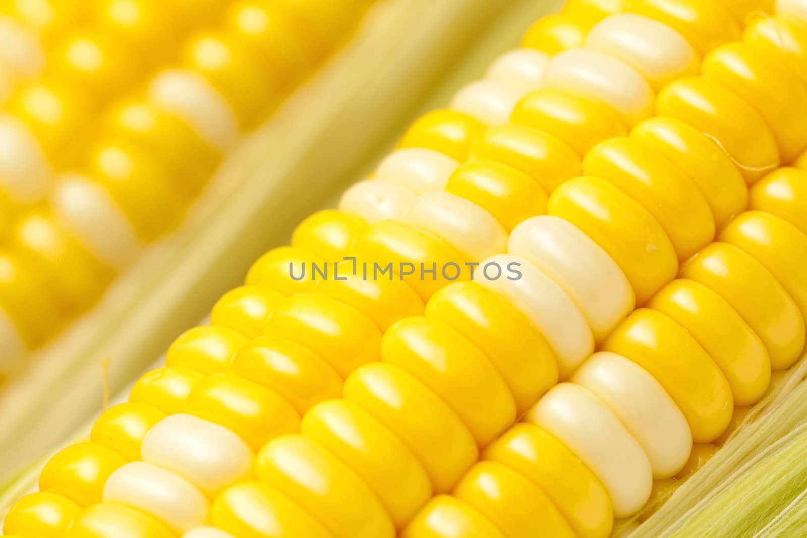 Corn, close-up shot. by kawing921