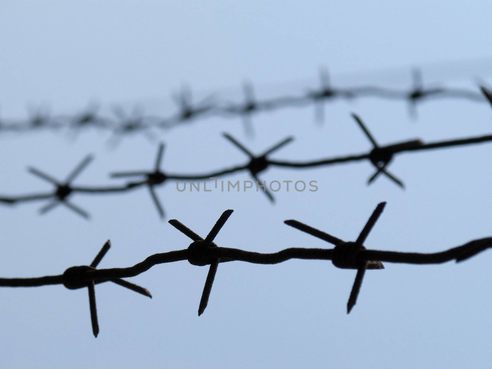 Barbed wire fence for security protection