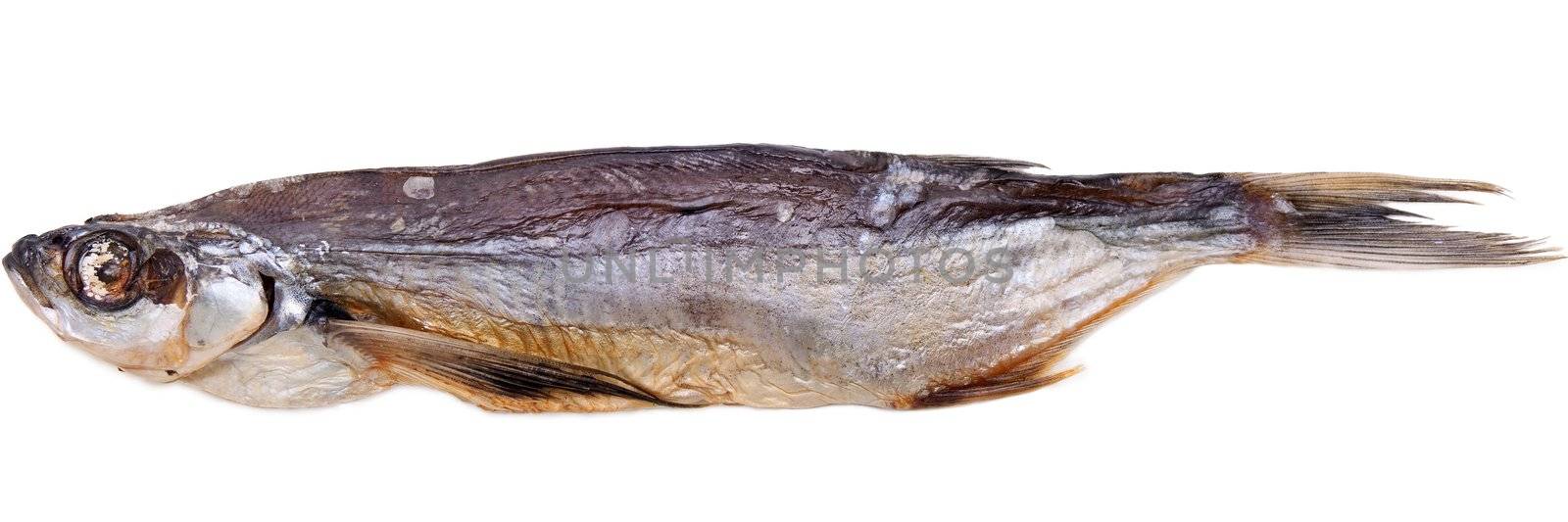 Stockfish food - salt prepared dry sea fish snack