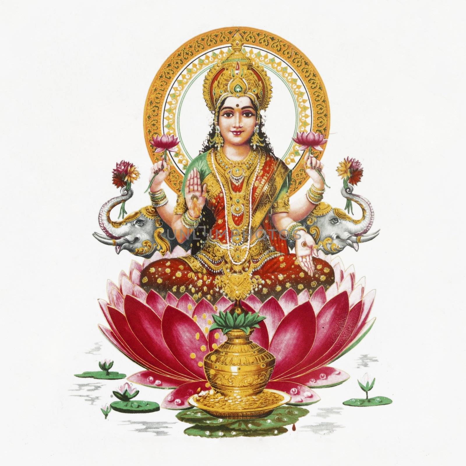 Lakshmi - Hindu goddess of wealth, prosperity,light,wisdom,fortune and fertility sitting on flower of red lotus, India, Asia