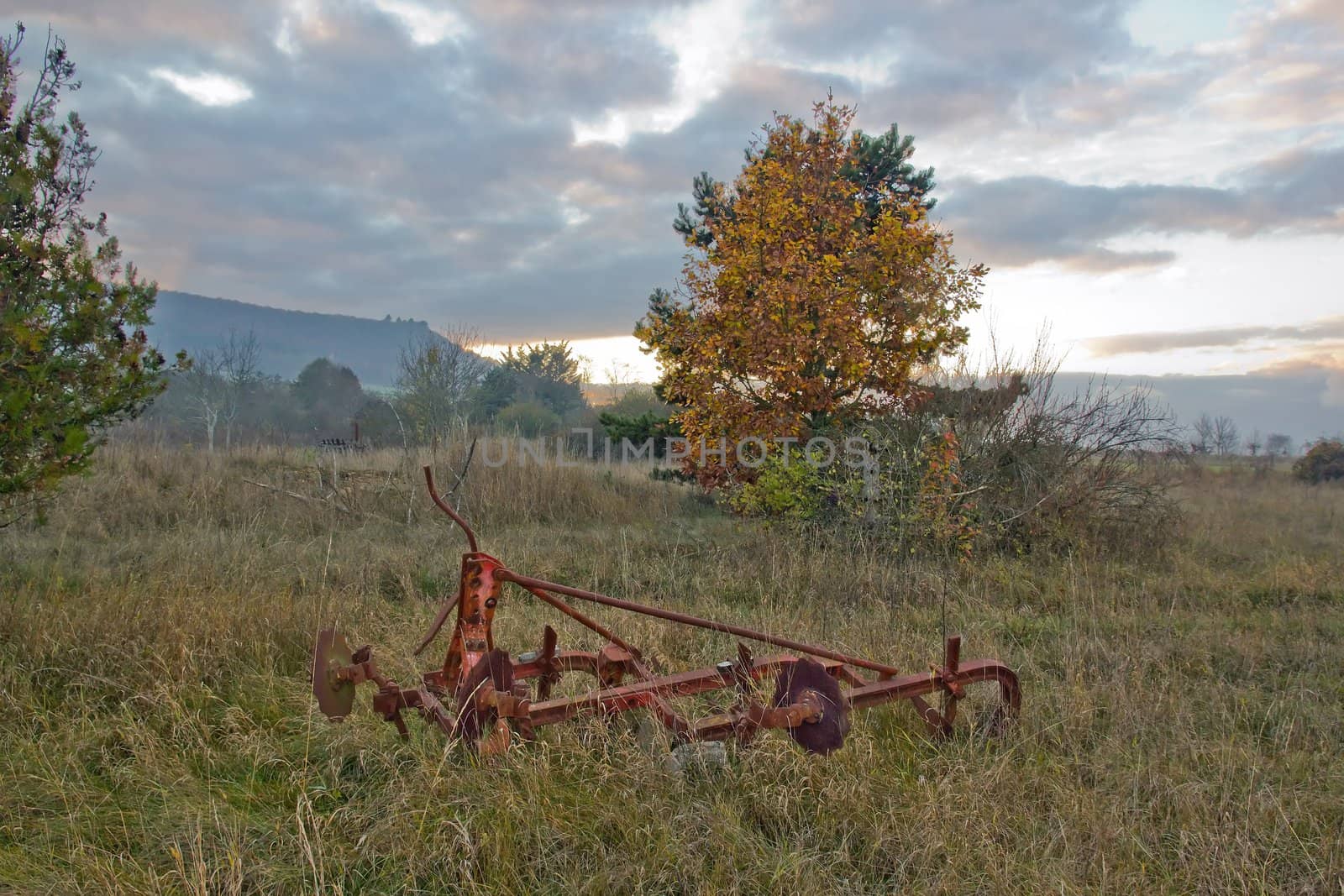 old plow, abandoned on the edge of the forest