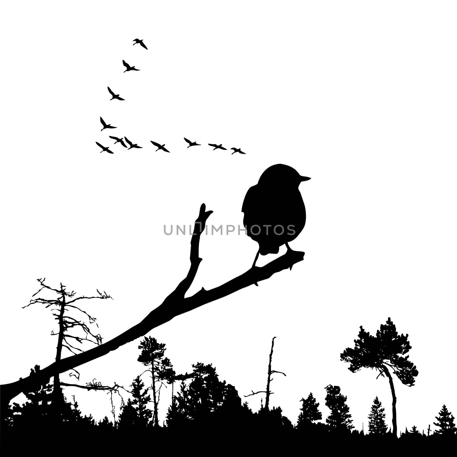 vector illustration of the bird on branch by basel101658