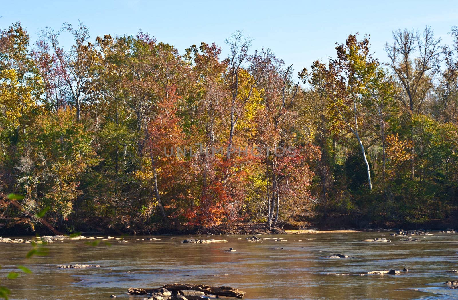 View from the edge of the Catawba River in the fall at Landsford Canal.