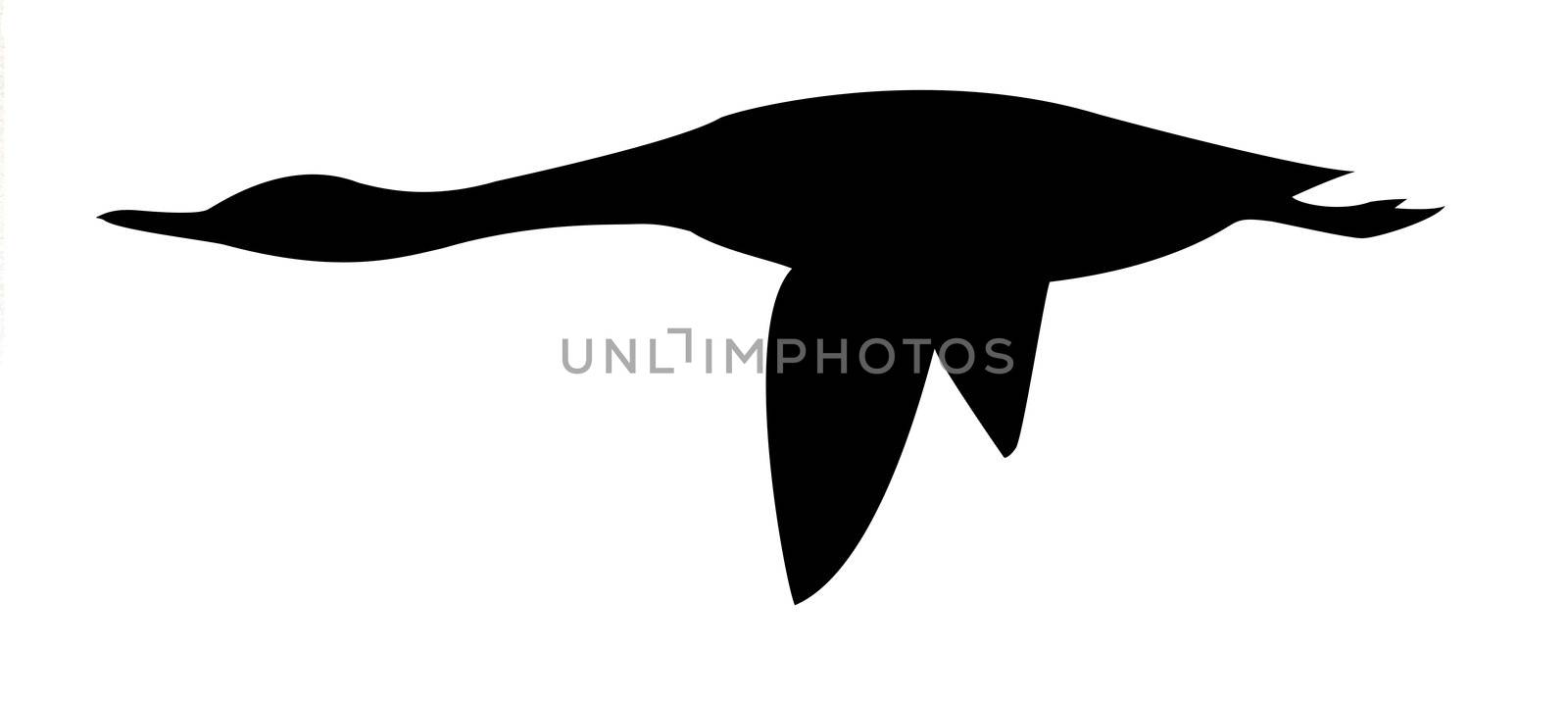 vector silhouette goose on white background by basel101658