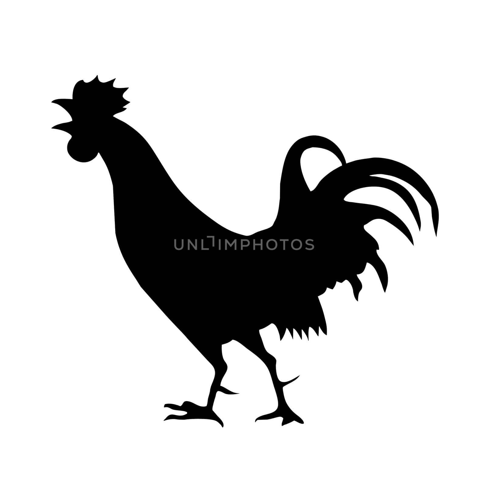 vector silhouette of the cock on white background by basel101658